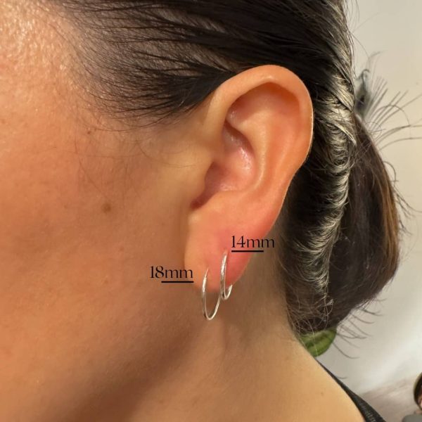 Cactus Hoop Earrings - Image 2